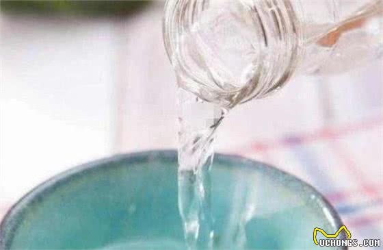 狗狗身上有跳蚤？记住这5个“小妙招”，和跳蚤说拜拜