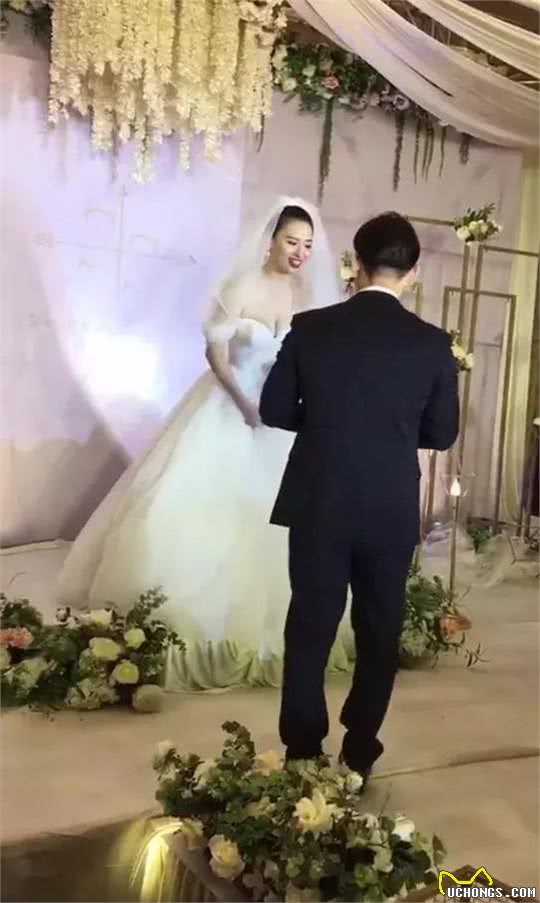 15岁苏牧犬为主人传递婚戒它用一生见证了主人15年的恋情