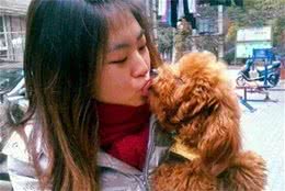 泰迪犬“舔人”的秘密，你还不知道吧