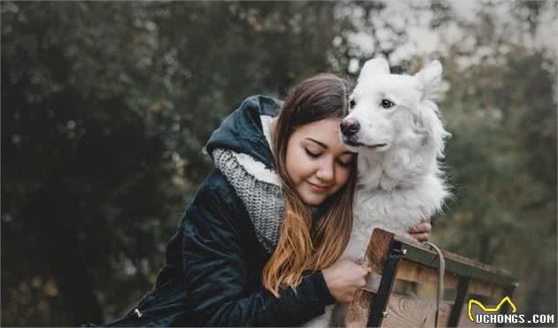 饲养宠物犬，做好这6点，你就能够成为优秀的铲屎官