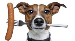 家里养狗，这些食物要谨慎，狗狗致命食物榜