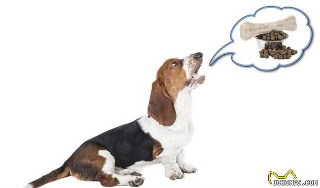 您家狗狗犬吠扰民吗？狗狗可能在向您传递这些信息