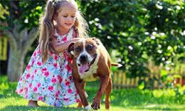 养狗狗的10点利弊，它能给你带来欢乐，同时需要你的细心照顾