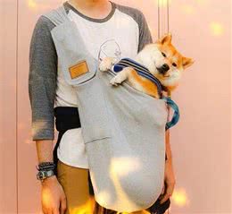 狗狗的4种性格，快来看看你家那位属于哪一种！