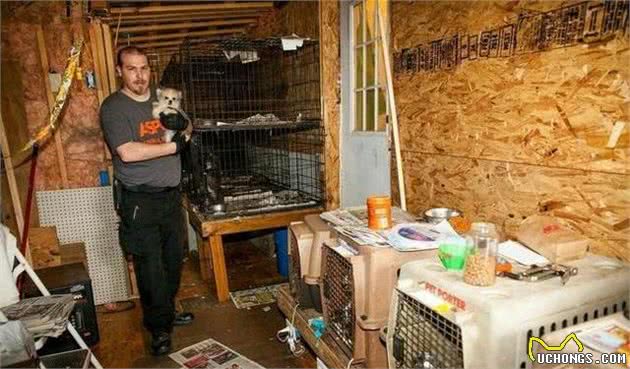 恶劣！犬繁殖场的可怕真面目，这些“买”来的狗狗，居然这样惨