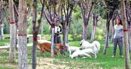 管好你的“狗链子”