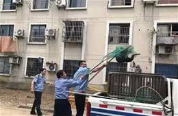 全国各地抓狗，过来人教你6招保护自己的狗