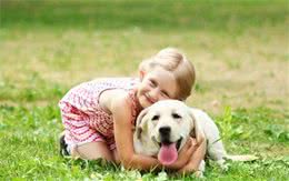 为什么狗狗喜欢和小孩子们在一起，看完这个你就知道了