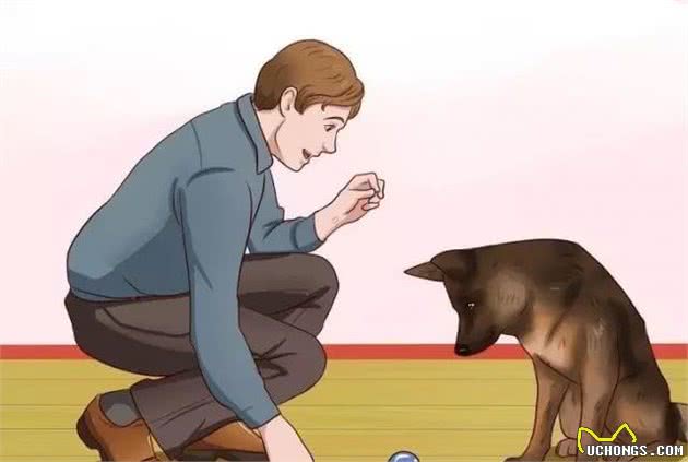 如何制止犬不良的吠叫行为？