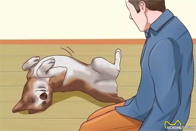 如何制止犬不良的吠叫行为？