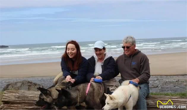 去狗狗厨师学校,为爱犬烹调一份美味吧!