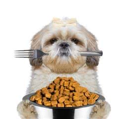 挑选犬粮也是要有门道的！不信看这些犬粮的划分，你知道多少？