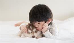 孩子能不能养宠物犬，这几件事你知道之后再决定也不迟
