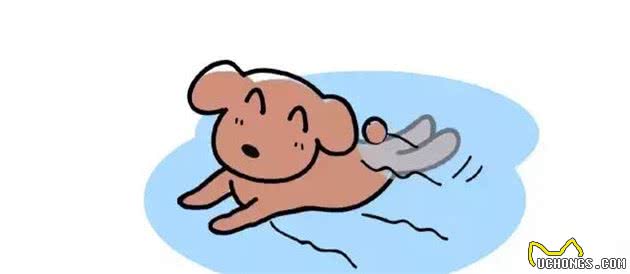 「养宠干货」夏季炎热，怎样预防犬中暑？