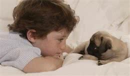 狗狗要不要吃处方犬粮？