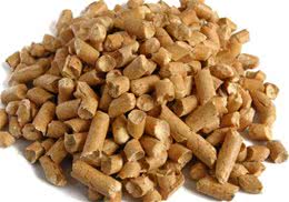 猫砂要选择适合猫咪的