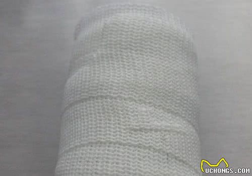 骨科绷带对于猫咪骨折的应用