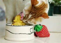 自制简易猫咪蛋糕