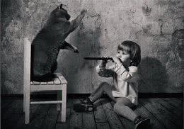 如何养好一只英国短毛猫