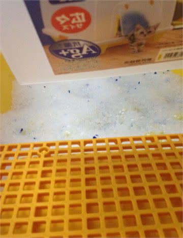 猫咪喜欢扒猫砂是强迫症吗