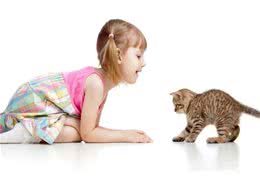 猫咪为什么和人亲近？