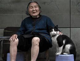 猫的发育阶段与人的年龄对比