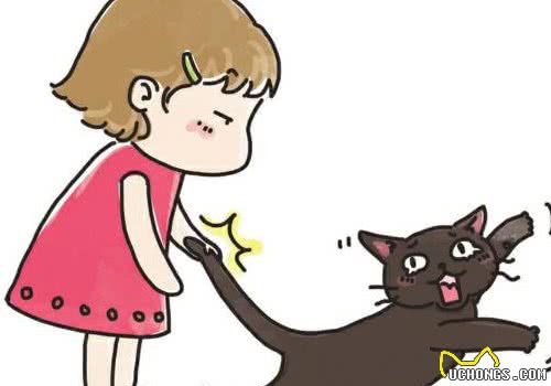 与猫咪相处的错误行为