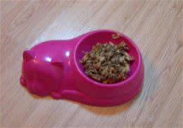 自制猫咪鳕鱼餐