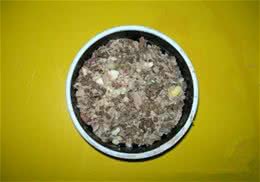 自制猫咪海鲜餐