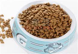 老猫猫粮怎么选？