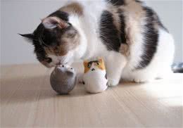 猫咪的高科技玩具有哪些？