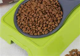 猫粮中的肉类副产品是什么