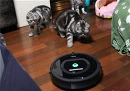 猫咪怕吸尘器怎么办？