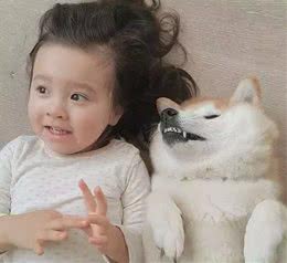 小孩想养狗，你会同意吗？