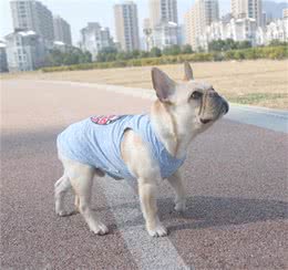 狗狗的关节问题，你重视了吗？