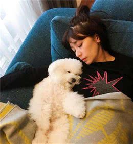 在你睡着后，狗狗有这些行为，说明没白疼