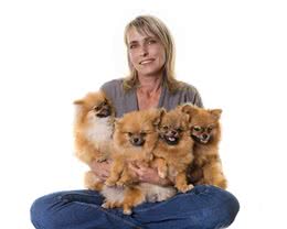 饲养博美犬，铲屎官最常犯的6个禁忌，你有过吗？