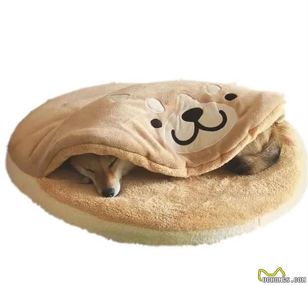 狗狗睡眠不好？那是没挑对狗窝，3个选择给狗狗舒适睡眠