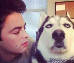 狗狗的六大“性格”类型，如果是第一种，那你就偷着乐吧