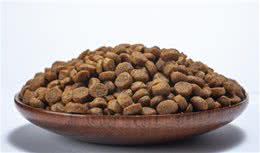 狗粮的种类都有哪些？干狗粮和湿狗粮的区别