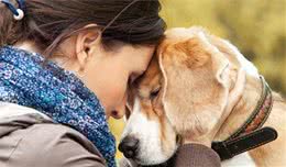 狗狗做这些行为，说明已经被主人“宠坏”了