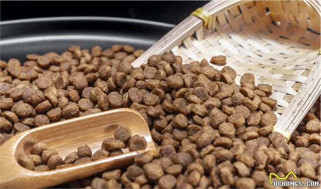 慎养！犬界体味最重的5种狗，一不小心就被熏着了！