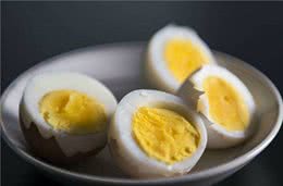 为什么要给狗狗吃蛋黄？这其中有什么原因