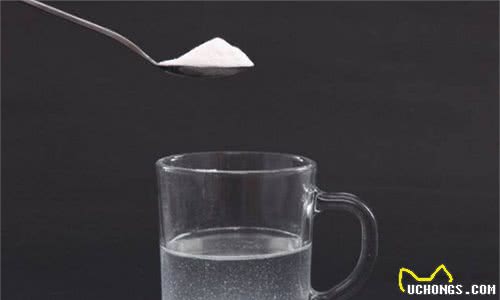 狗狗呕吐严重怎么办？导致呕吐的原因和可以采取措施参考
