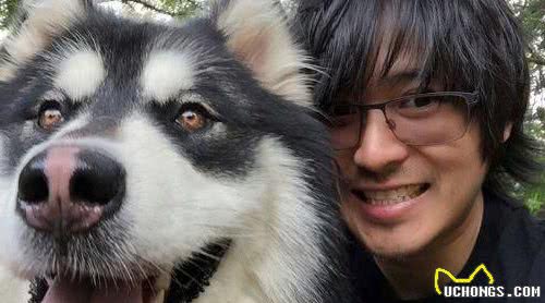 为什么越来越多的人喜欢养狗？狗狗的这些知识你了解多少？