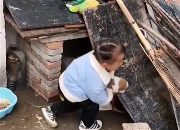 萌娃进狗窝扒拉狗崽子，犹如探囊取物，狗妈妈的神奇反应令人发笑