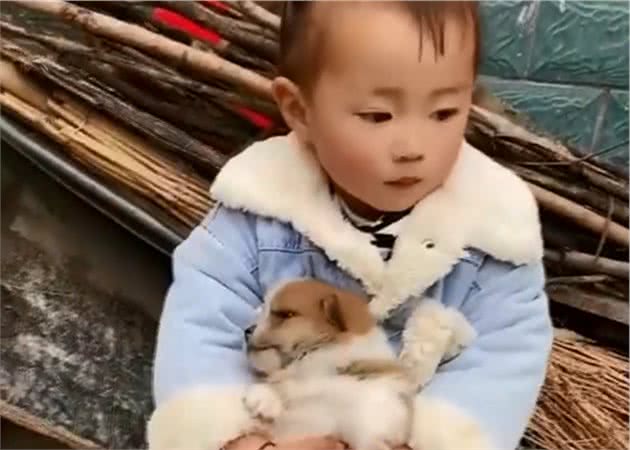 萌娃进狗窝扒拉狗崽子，犹如探囊取物，狗妈妈的神奇反应令人发笑