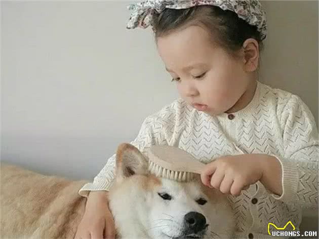 萌娃进狗窝扒拉狗崽子，犹如探囊取物，狗妈妈的神奇反应令人发笑