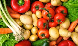 狗狗不能吃这些东西！否则狗命不保