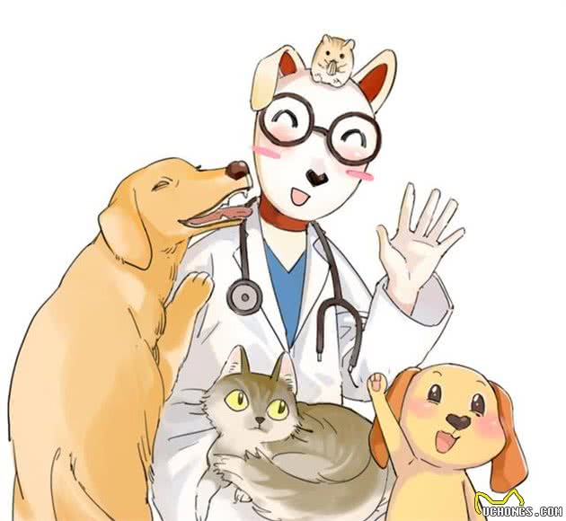 辟谣：猫咪整天都睡不醒真那么懒？都是因为狩猎者的天性